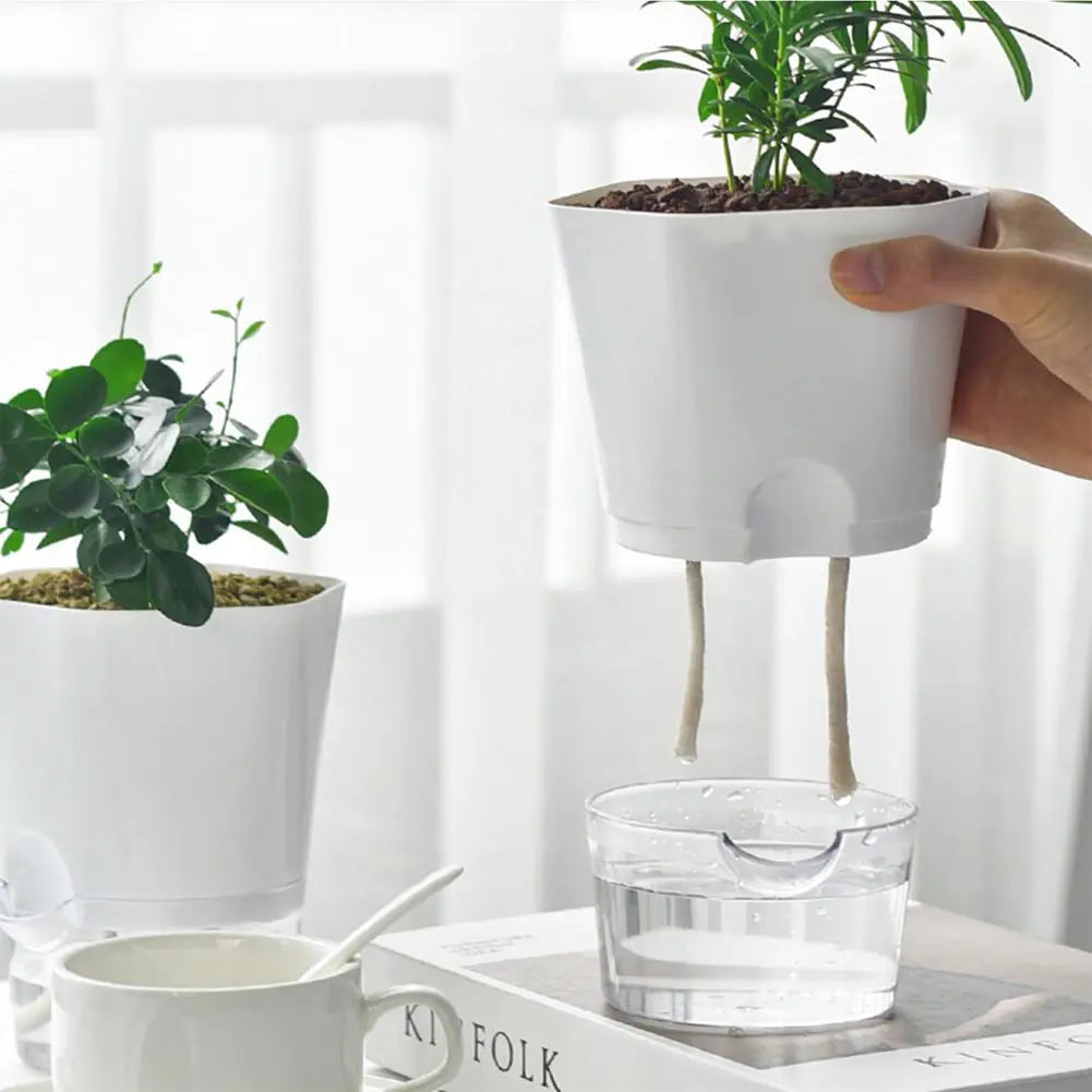 Automatic Water-Absorbing Flowerpot